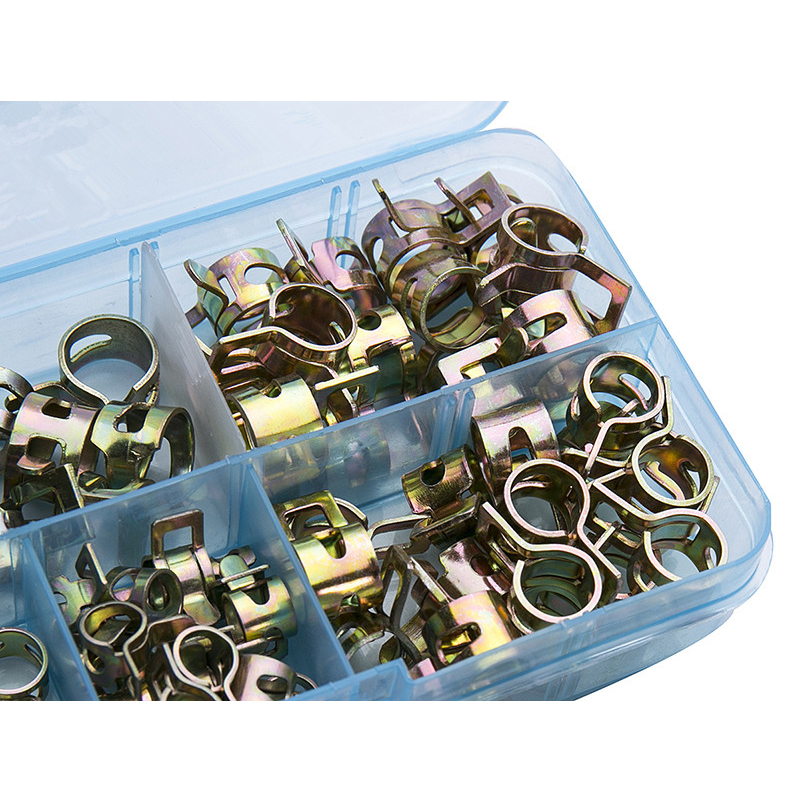 75Pcs/set 6-10mm Spring Fuel O - Hose Clamp Assorted 리뷰 및 가격