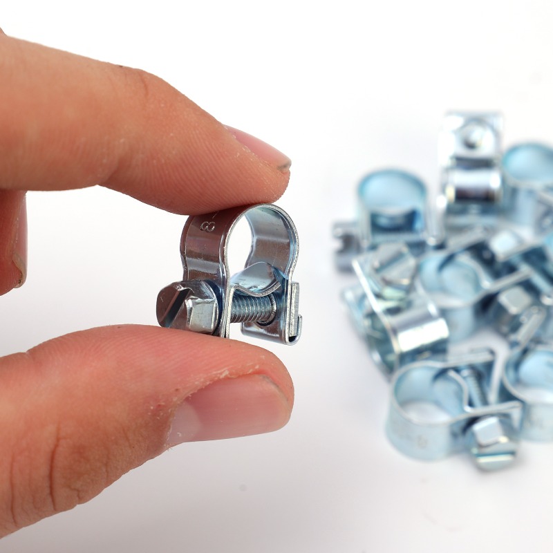 40-10PCS Hose Clamp Fuel Pipe  - Hose Clamp Assorted 리뷰 및 가격
