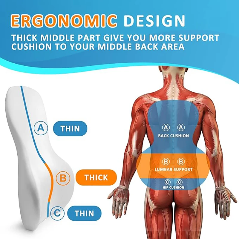Lumbar Support Pillow for Offi - Home Improvement Cars 리뷰 및 가격